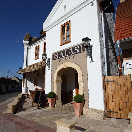 Halasi Pince Panzio Villány Extérieur photo