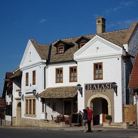 Halasi Pince Panzio Villány Extérieur photo