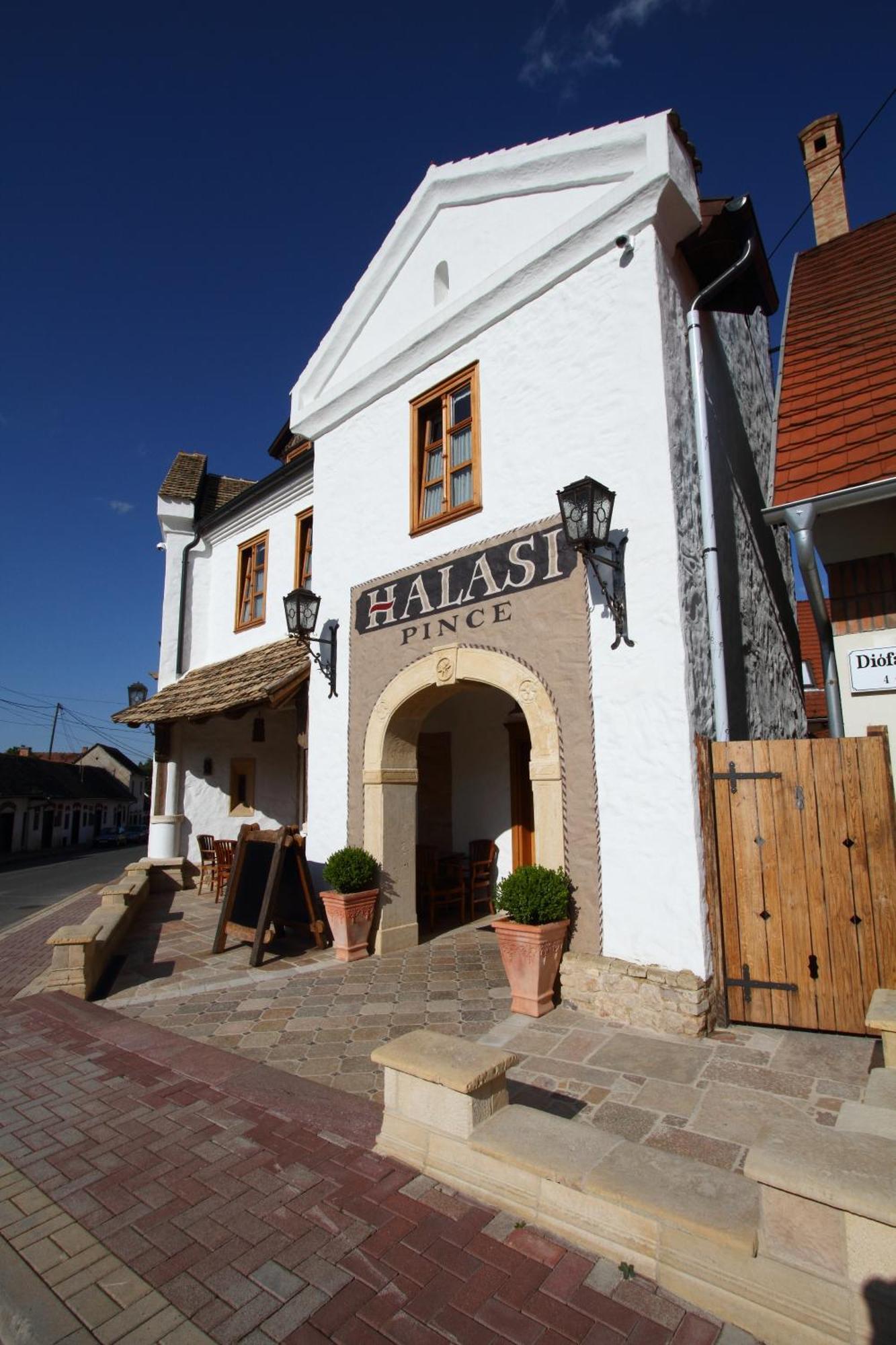 Halasi Pince Panzio Villány Extérieur photo