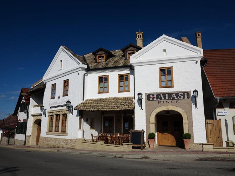 Halasi Pince Panzio Villány Extérieur photo