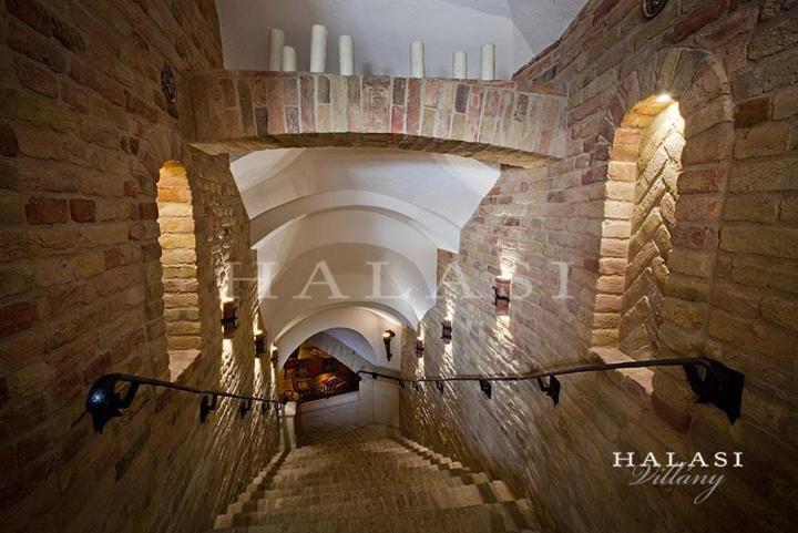 Halasi Pince Panzio Villány Extérieur photo